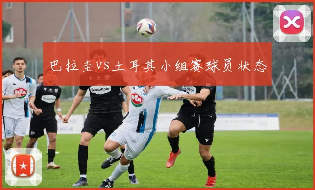 巴拉圭vs土耳其小组赛球员状态