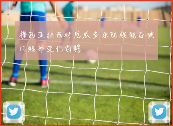 穆西亚拉面对厄瓜多尔防线能否破门赔率变化前瞻