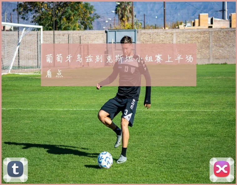 葡萄牙乌兹别克斯坦小组赛上半场看点
