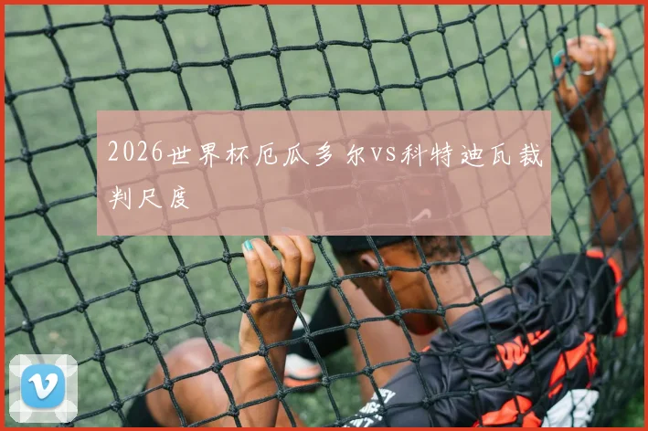 2026世界杯厄瓜多尔vs科特迪瓦裁判尺度
