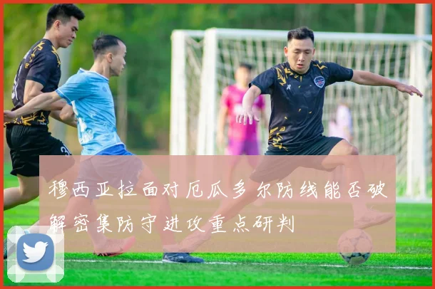 穆西亚拉面对厄瓜多尔防线能否破解密集防守进攻重点研判