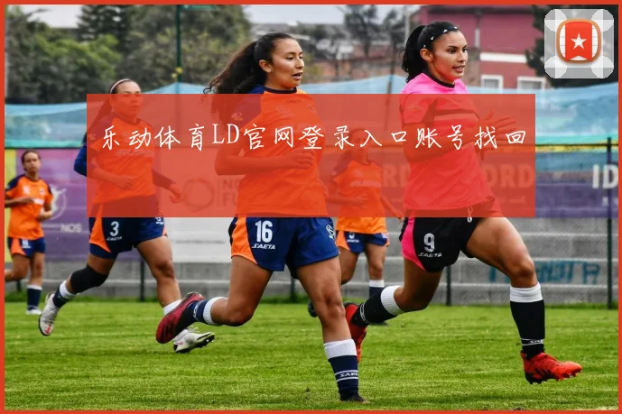 乐动体育LD官网登录入口账号找回