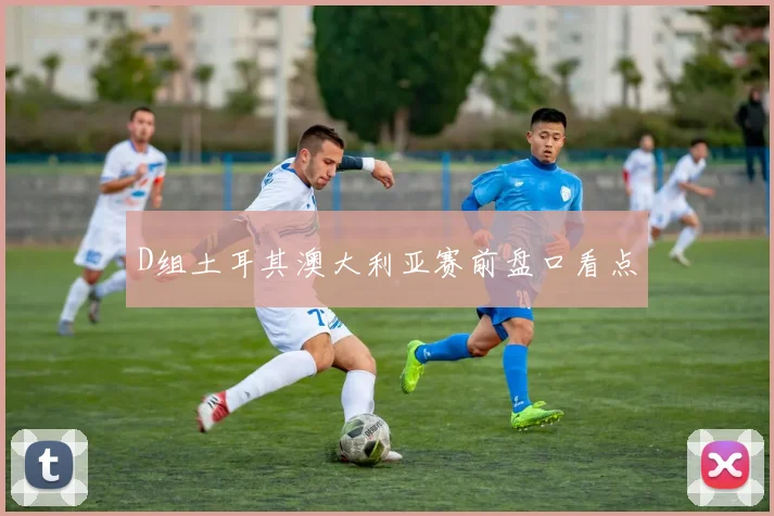 D组土耳其澳大利亚赛前盘口看点