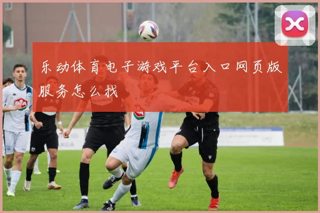 乐动体育电子游戏平台入口网页版服务怎么找